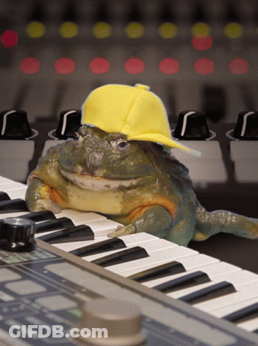 Frog In Yellow Hat On Piano GIF