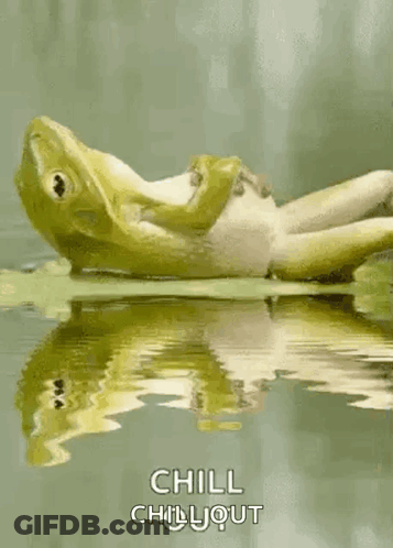 Frog Laying On Back In Water Saying Chill Chill Out GIF