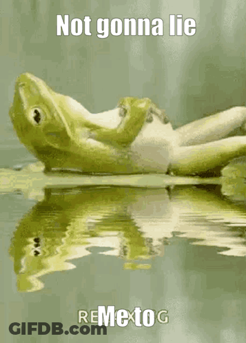 Frog Laying On Back In Water Saying Me To Not Gonna Lie GIF