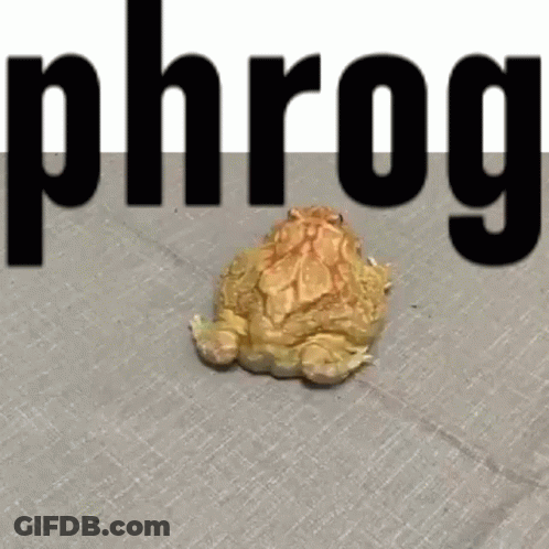 Frog Laying On Floor Phrog GIF