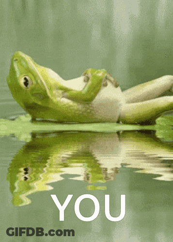 Frog Laying On Leaf In Water Saying You GIF
