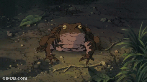 Frog Looking Up With Open Mouth GIF