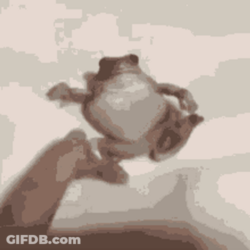 Frog Meme Poke Stop It Reaction GIF
