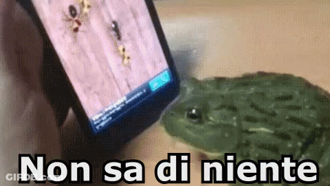 Frog Next To Phone Saying Non Sa Di Niente GIF