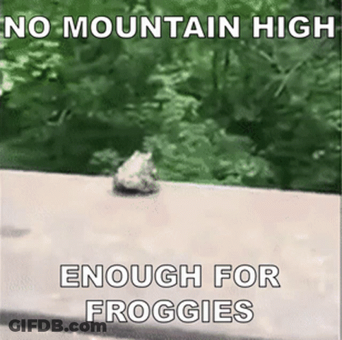 Frog On Sidewalk No Mountain High Enough For Froggies GIF