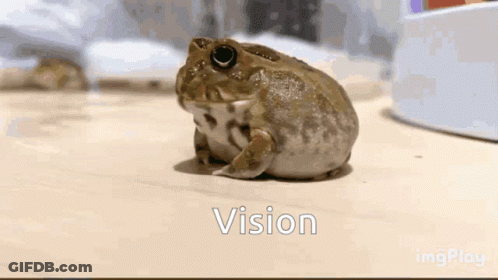 Frog On Table With Vision GIF
