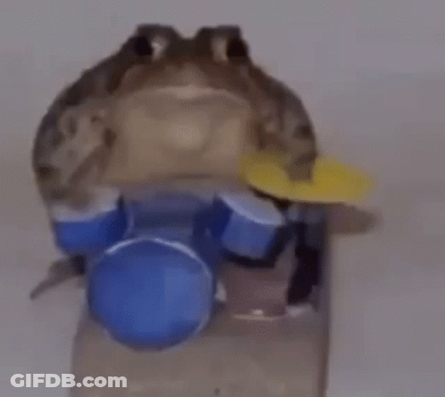 Frog Playing Drums With Stick In Mouth GIF