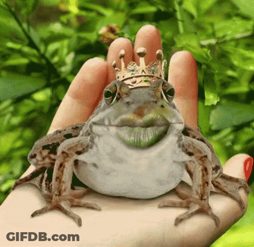 Frog Prince Kiss GIF