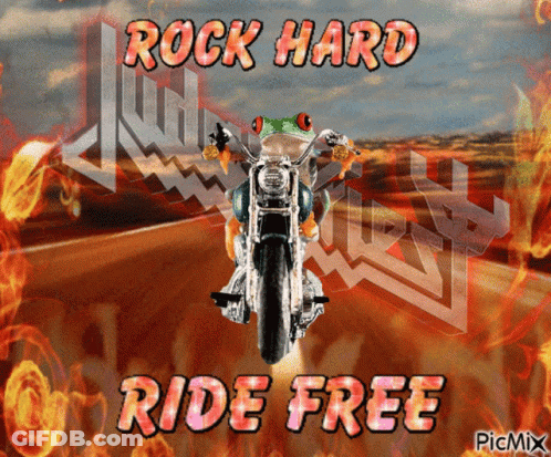 Frog Riding Motorcycle Rock Hard Ride Free GIF