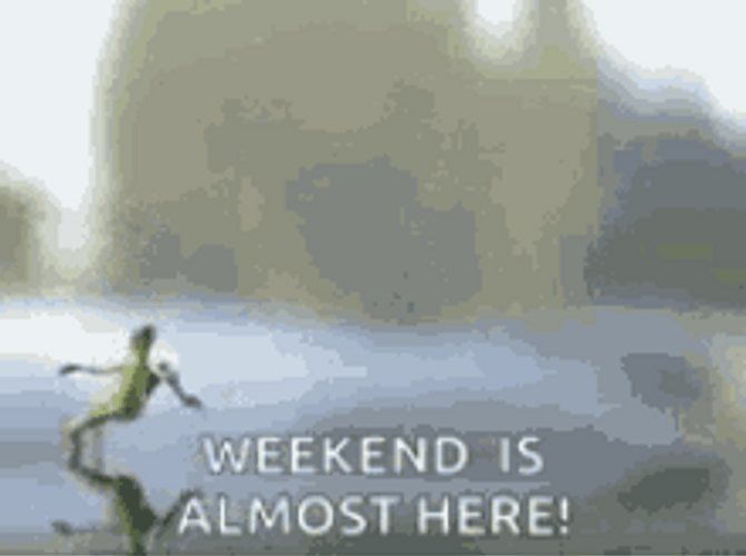 Frog Running Weekend Almost Weekend GIF