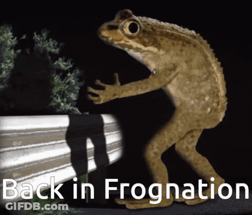 Frog Saying Back In Frognation GIF