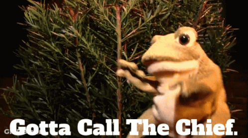 Frog Saying Gotta Call The Chief GIF
