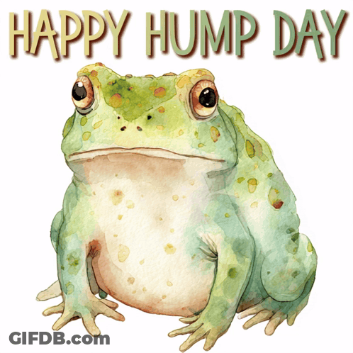 Frog Saying Happy Hump Day GIF
