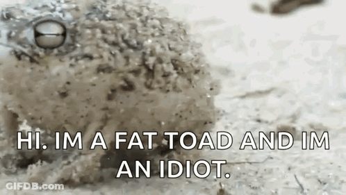 Frog Saying Hi Im Fat Toad Im Idiot GIF