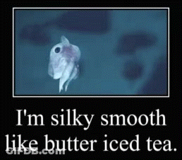 Frog Saying I M Silky Smooth Like Butter Iced Tea GIF