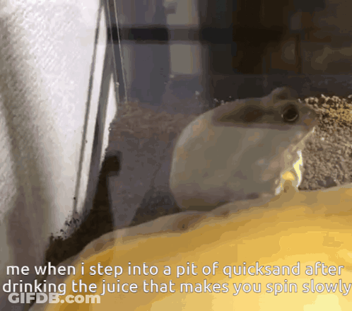 Frog Saying Me When I Step Into Pit Of Quicksand GIF