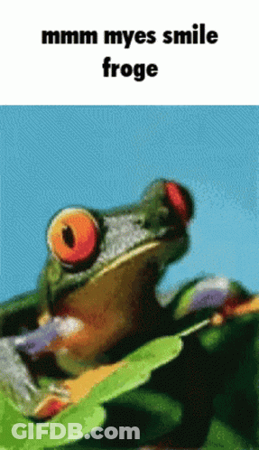 Frog Saying Mmm Myes Smile Froge GIF