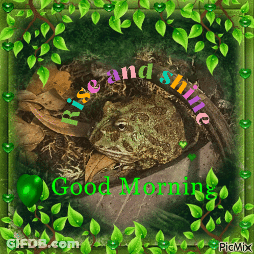 Frog Saying Rise And Shine GIF