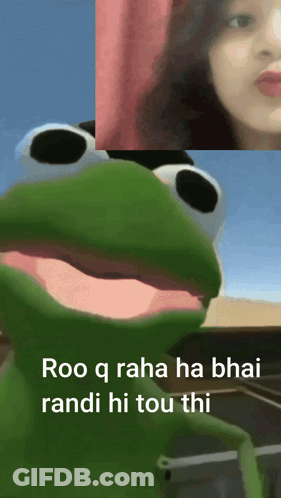 Frog Saying Roo Q Raha Ha Bhai Randi Hi Tou Thi GIF