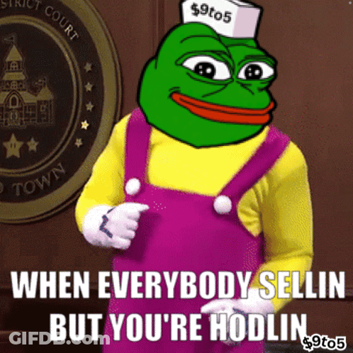 Frog Saying When Everybody Selling But You're Hodlin GIF