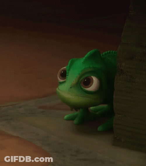 Frog Says Go On GIF