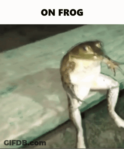 Frog Sitting Cross-Legged With On Frog Above GIF