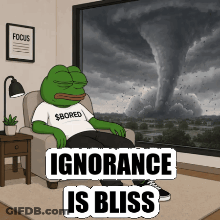 Frog Sitting In Chair Ignorance Is Bliss GIF