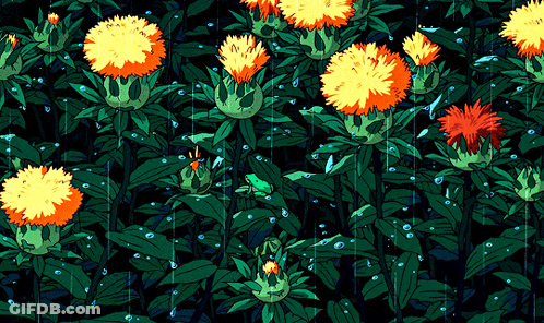 Frog Sitting In Rain Among Flowers GIF