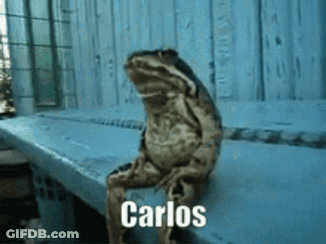 Frog Sitting Like A Boss GIF