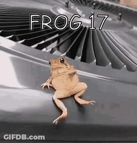 Frog Sitting On Air Conditioner GIF