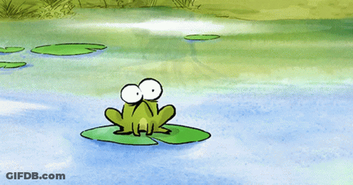 Frog Sitting On Lily Pad In Pond GIF