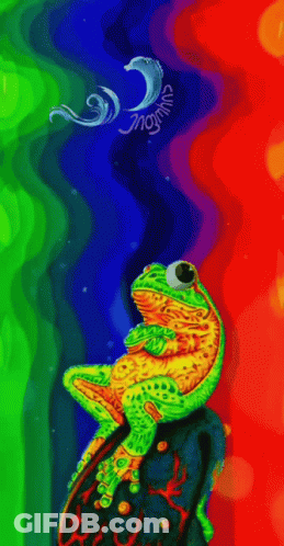 Frog Sitting On Rock Frogmind Painting GIF