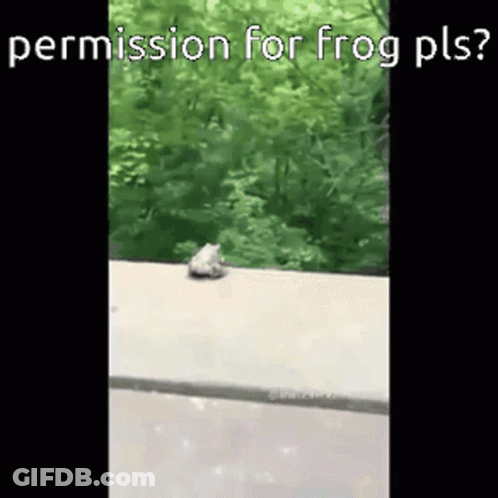 Frog Sitting On Side Of Road GIF