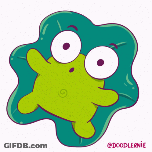 Frog Speech Bubble Saying Take A Break GIF