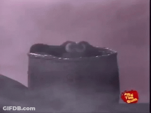 Frog Standing On Barrel In Foggy Room GIF