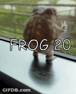 Frog Standing On Window Sill With Frog 20 GIF