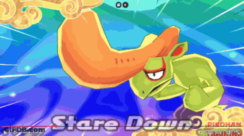 Frog Stare Down GIF