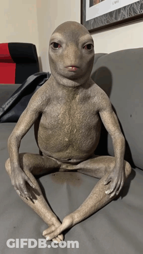 Frog Statue Sitting On Couch GIF