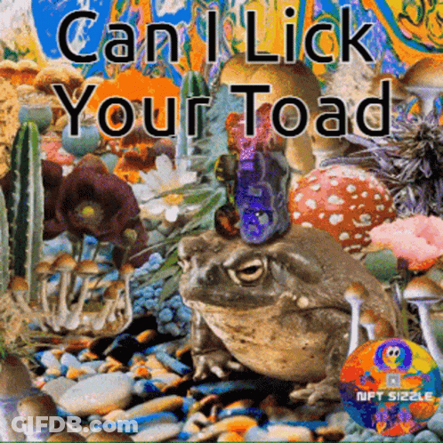 Frog Surrounded Mushrooms Flowers Can I Lick Your Toad GIF