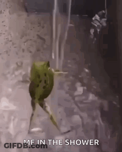 Frog Walking Through Shower Saying Me In The Shower GIF