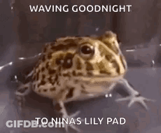 Frog Waving Goodnight To Nina's Lily Pad GIF