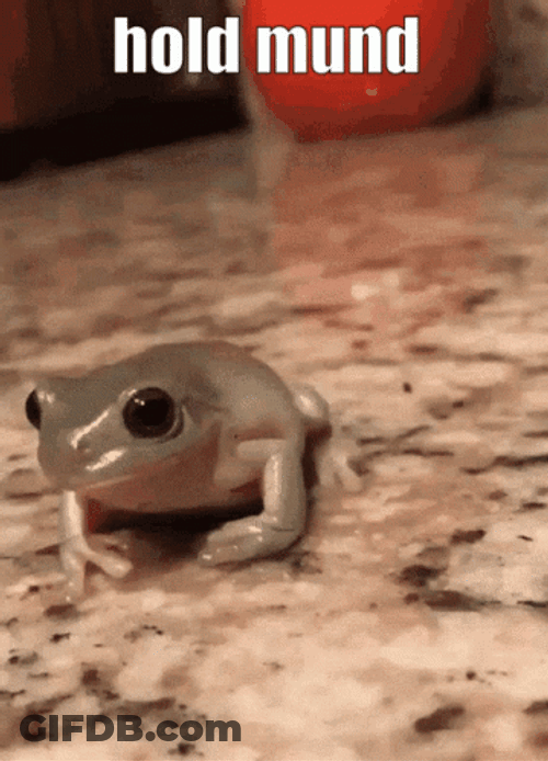 Frog Wearing Hat Hold Mund GIF