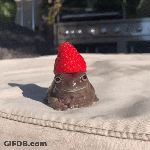 Frog Wearing Strawberry Hat On Cushion GIF
