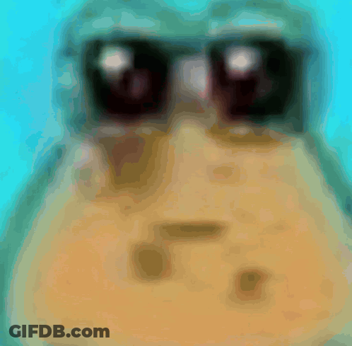 Frog Wearing Sunglasses Close Up Blue Background GIF
