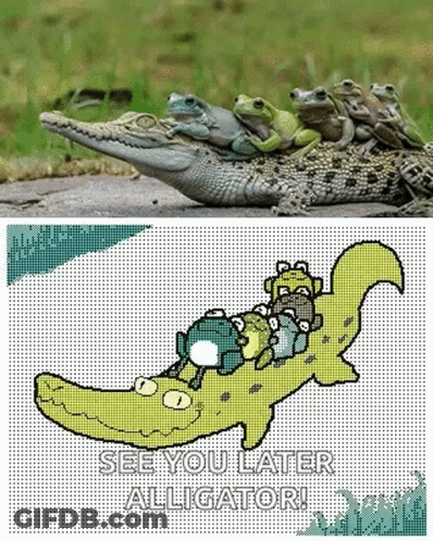 Frog Wholesome GIF