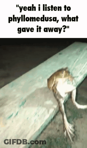 Frog With Frog House Assemble Text GIF