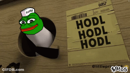 Frog With Hat Saying HODL GIF