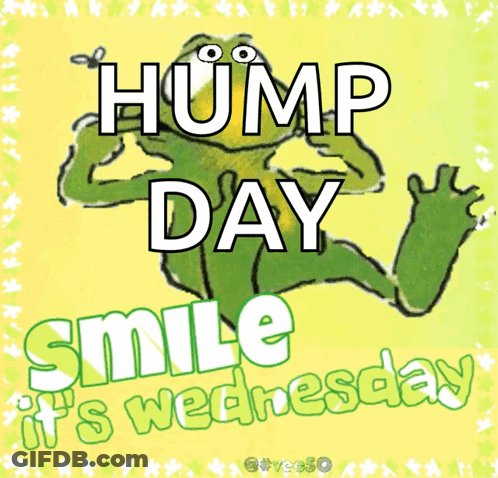 Frog With Hump Day Smile It's Wednesday GIF