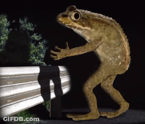 Frog With Long Legs Standing Next To Railing In Dark GIF