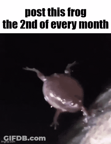Frog With Post This Frog Text GIF